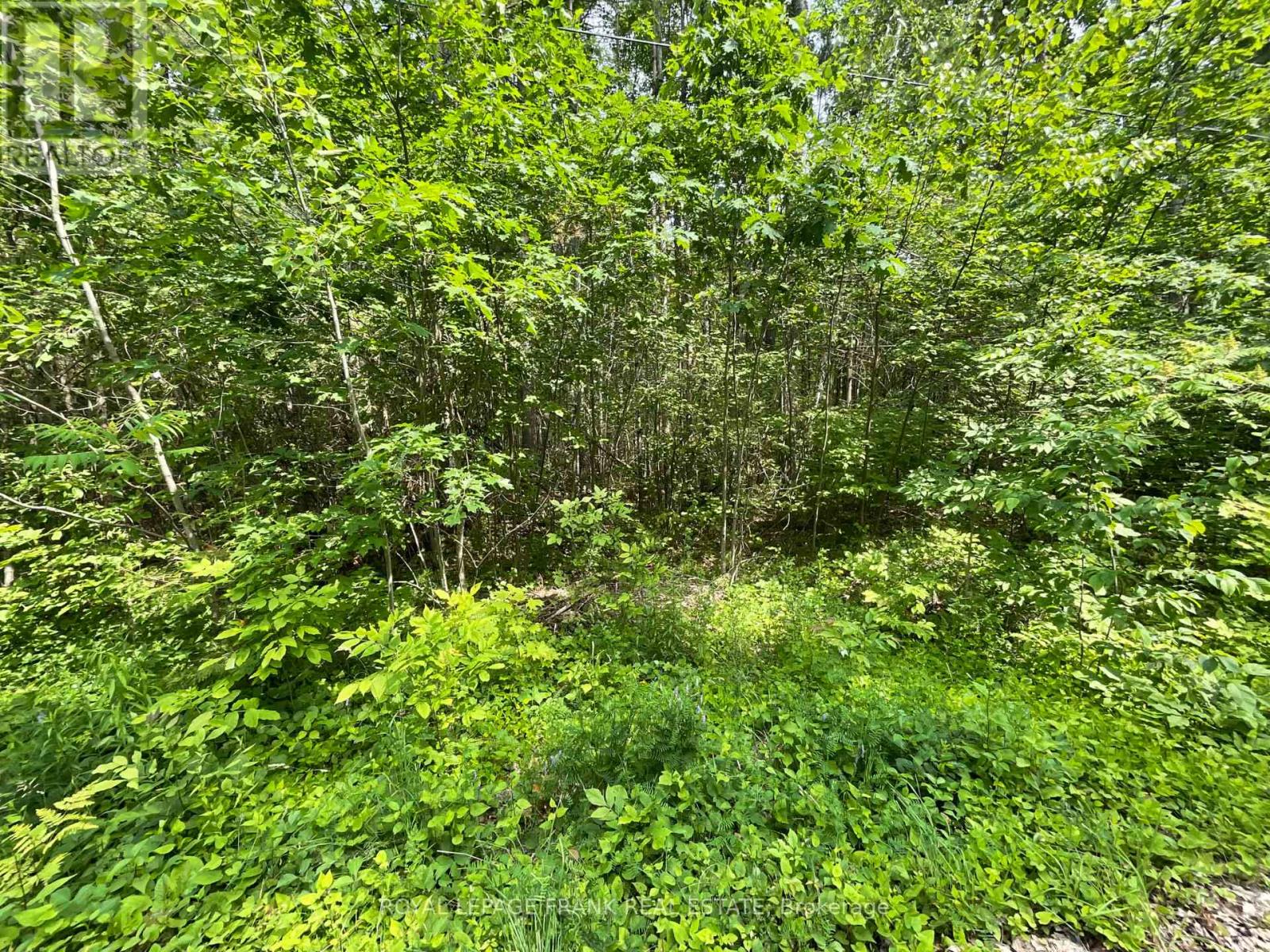 0 Sugarbush Crescent, Trent Lakes, Ontario  K0L 1J0 - Photo 6 - X13753104