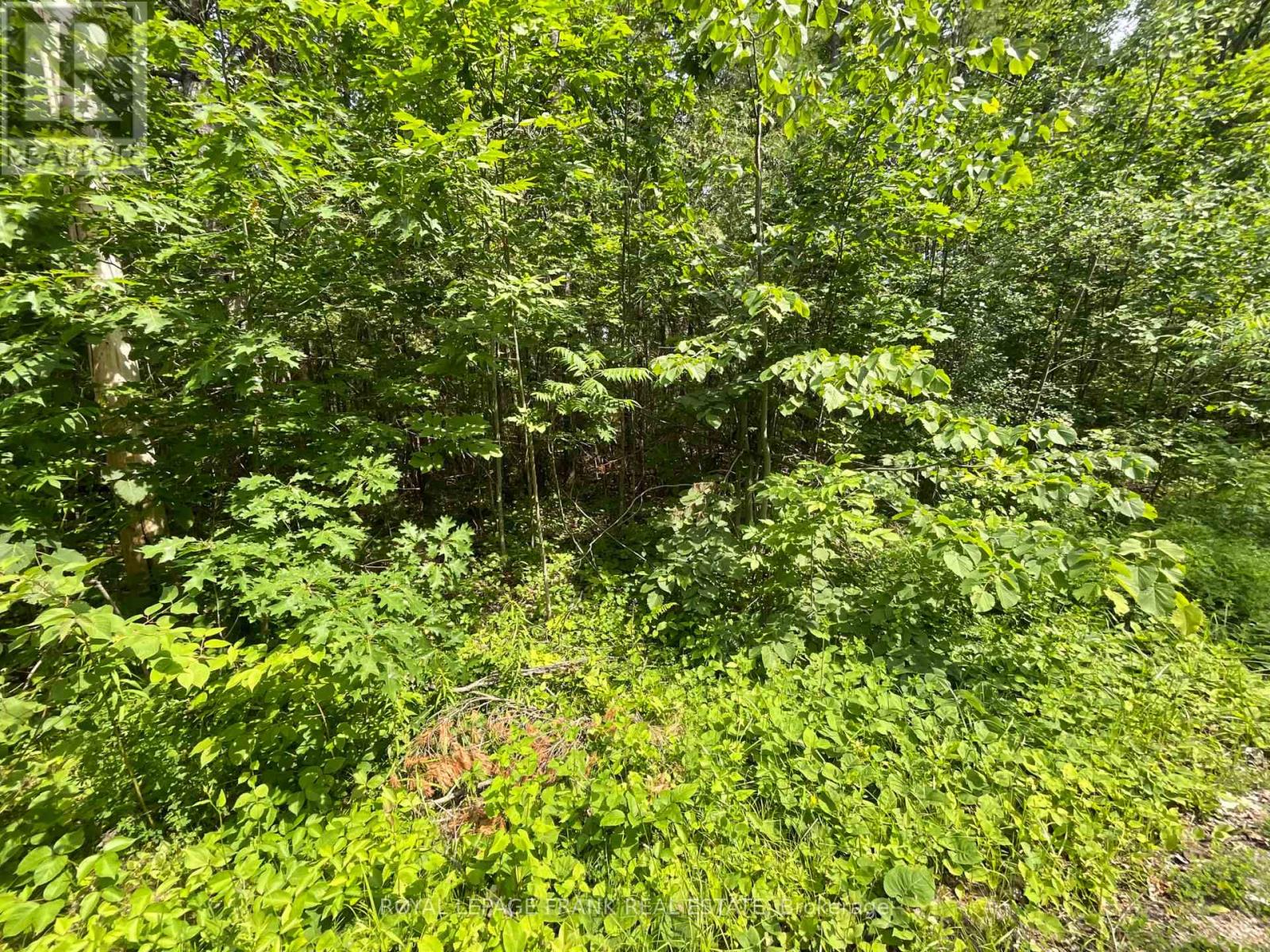 0 Sugarbush Crescent, Trent Lakes, Ontario  K0L 1J0 - Photo 7 - X13753104
