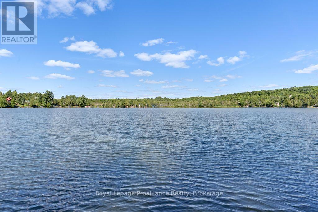 5 Water - Gunter Lake, Tudor And Cashel (Cashel Ward), Ontario  K0L 1W0 - Photo 37 - X13755406