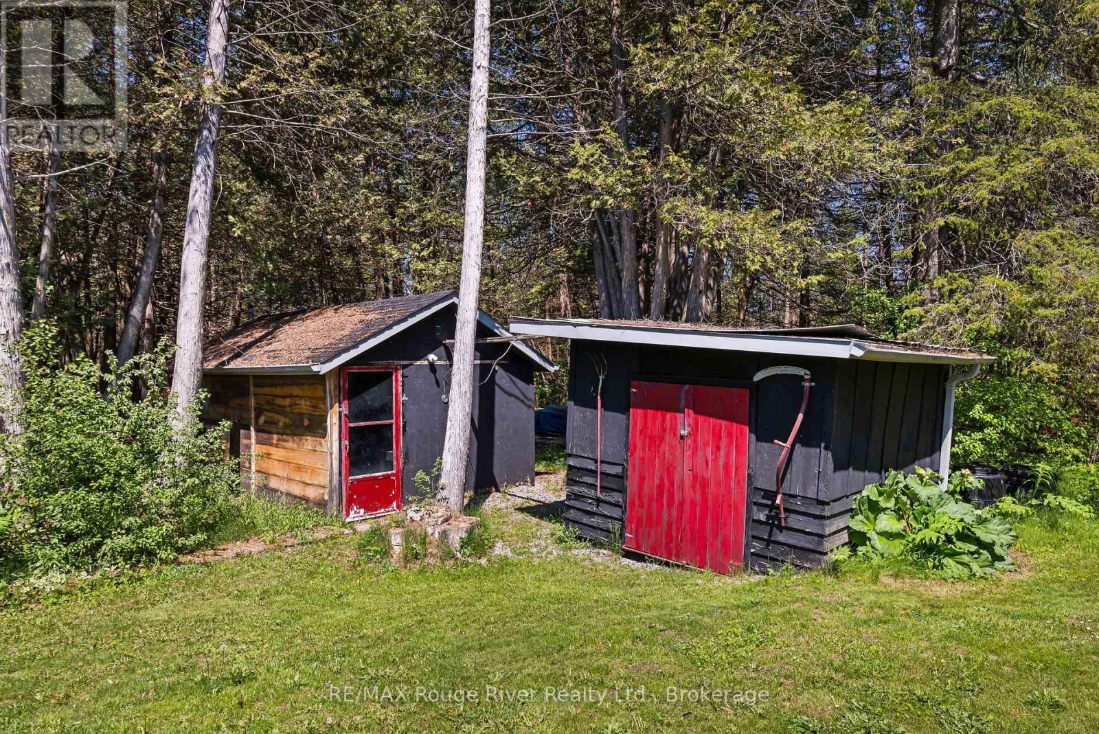 518 County Rd 6 Road, Douro-Dummer, Ontario  K0L 2H0 - Photo 11 - X13755672