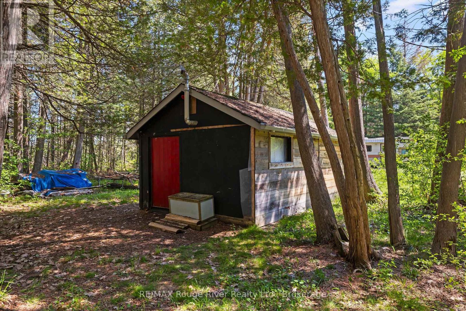 518 County Rd 6 Road, Douro-Dummer, Ontario  K0L 2H0 - Photo 12 - X13755672