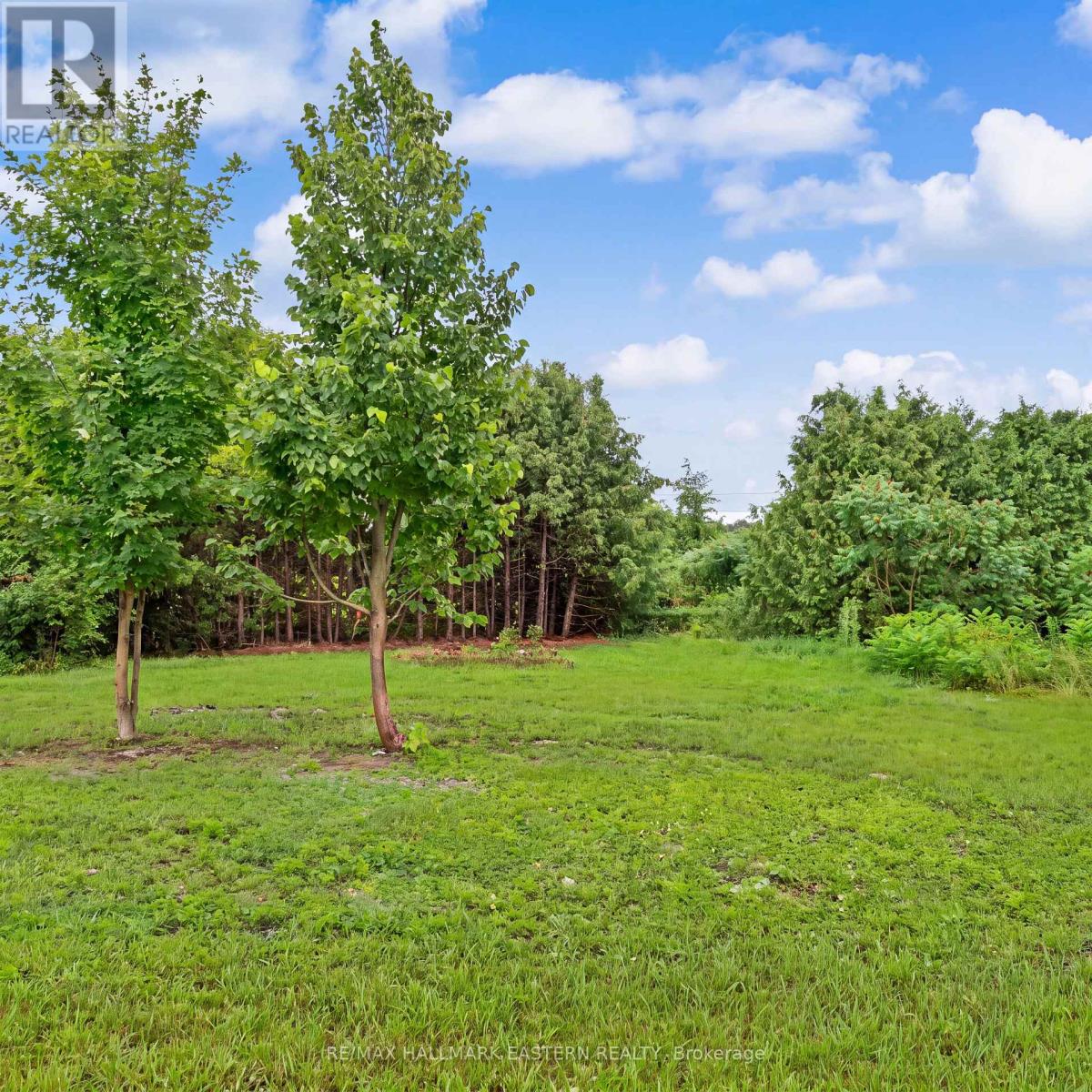 2260 Buckhorn Road, Selwyn, Ontario  K0L 2H0 - Photo 34 - X13756562