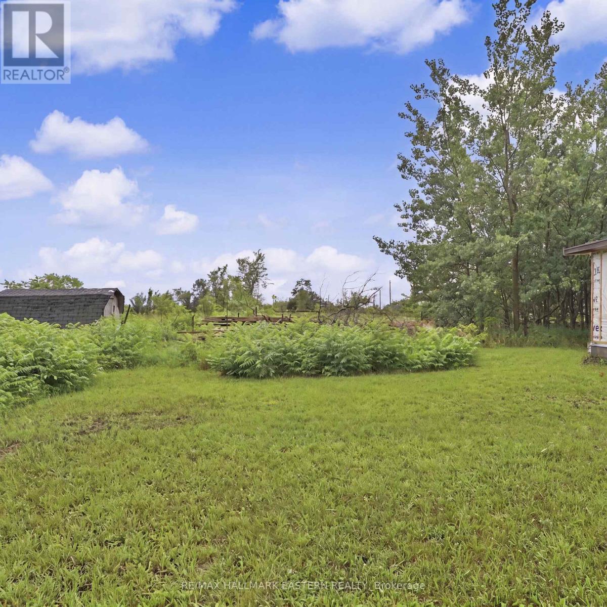 2260 Buckhorn Road, Selwyn, Ontario  K0L 2H0 - Photo 36 - X13756562