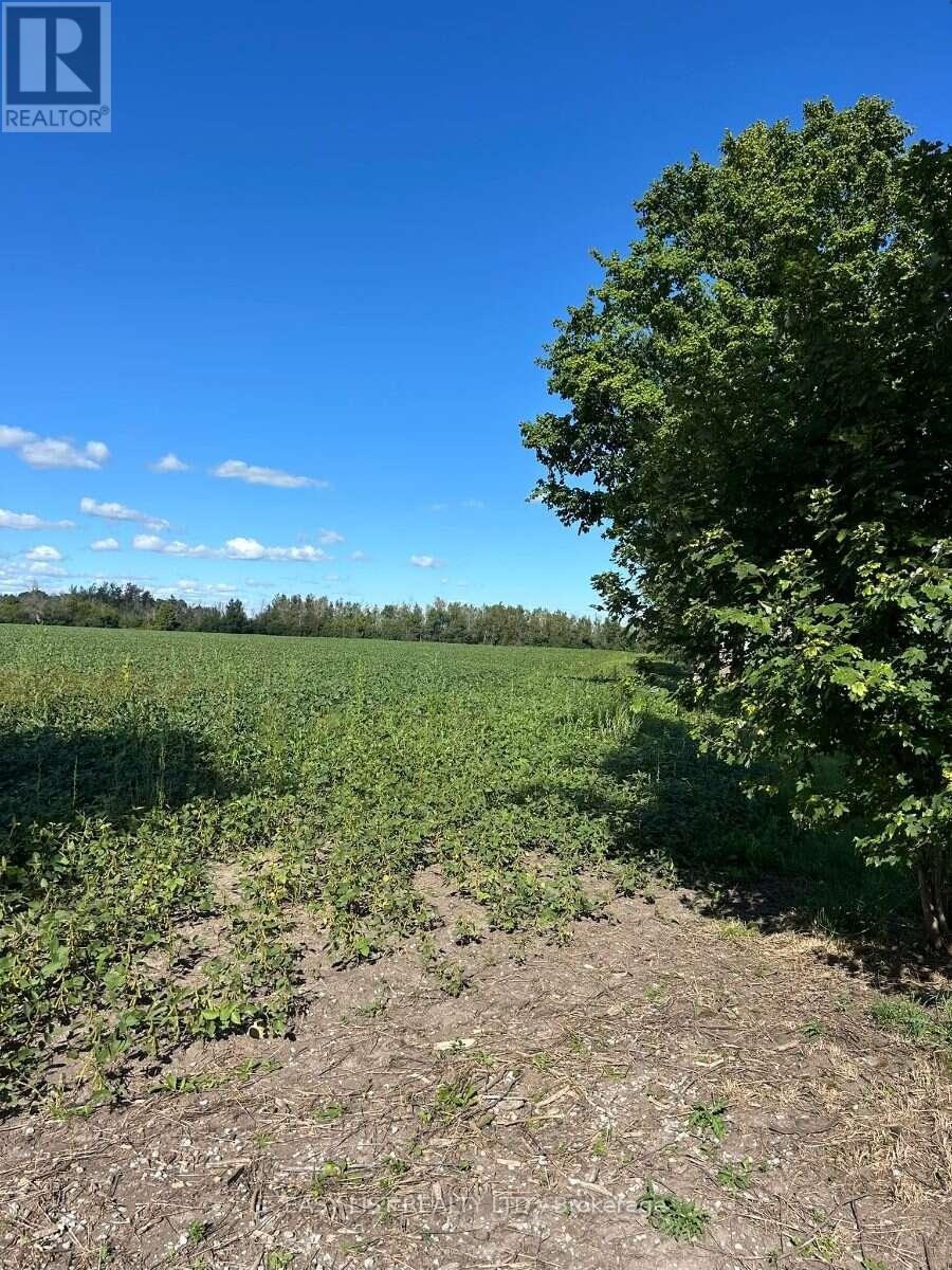 624 Hillhead Road, Kawartha Lakes (Ops), Ontario  K0L 2X0 - Photo 12 - X13756896