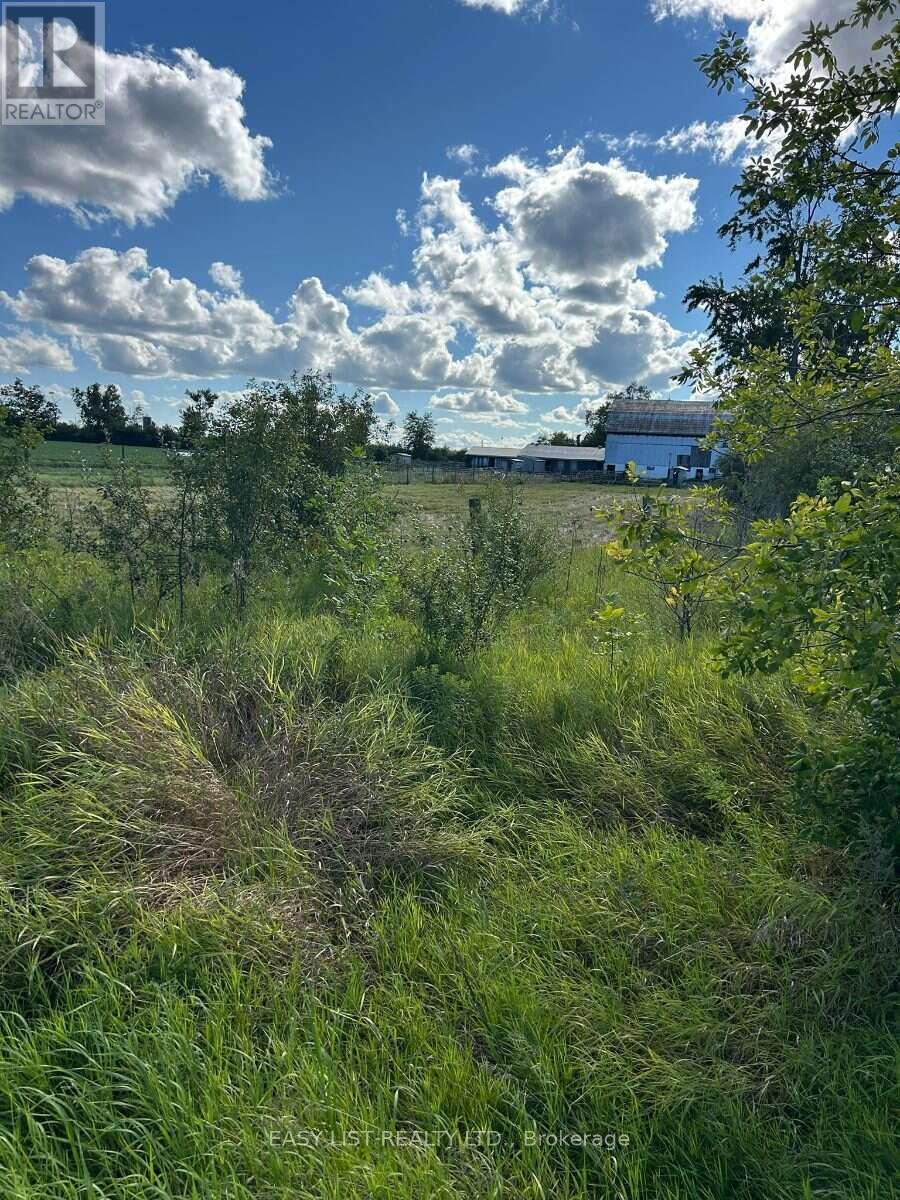 624 Hillhead Road, Kawartha Lakes (Ops), Ontario  K0L 2X0 - Photo 27 - X13756896