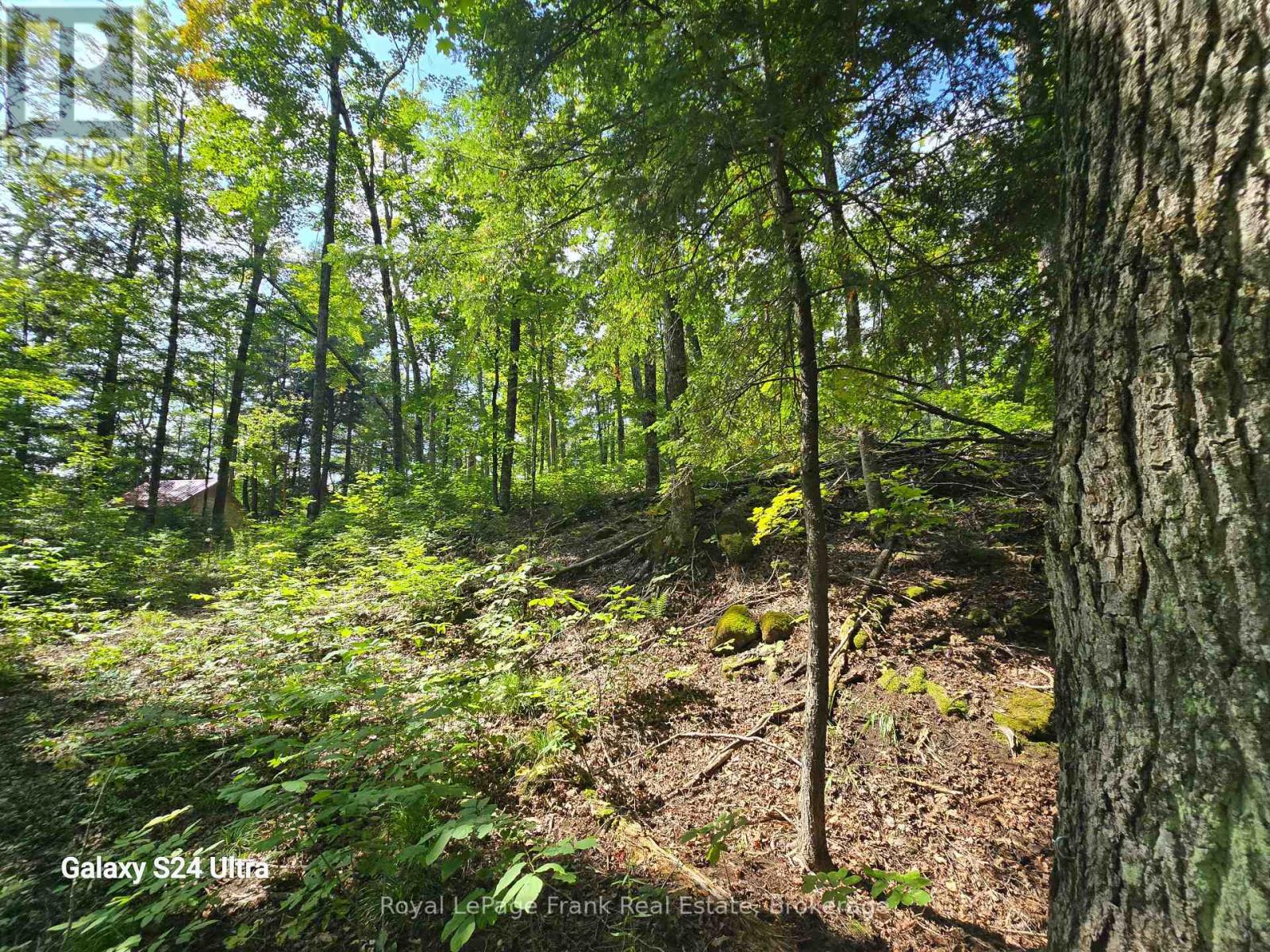 PT LT 17-18 COUNTY ROAD 507, trent lakes, Ontario