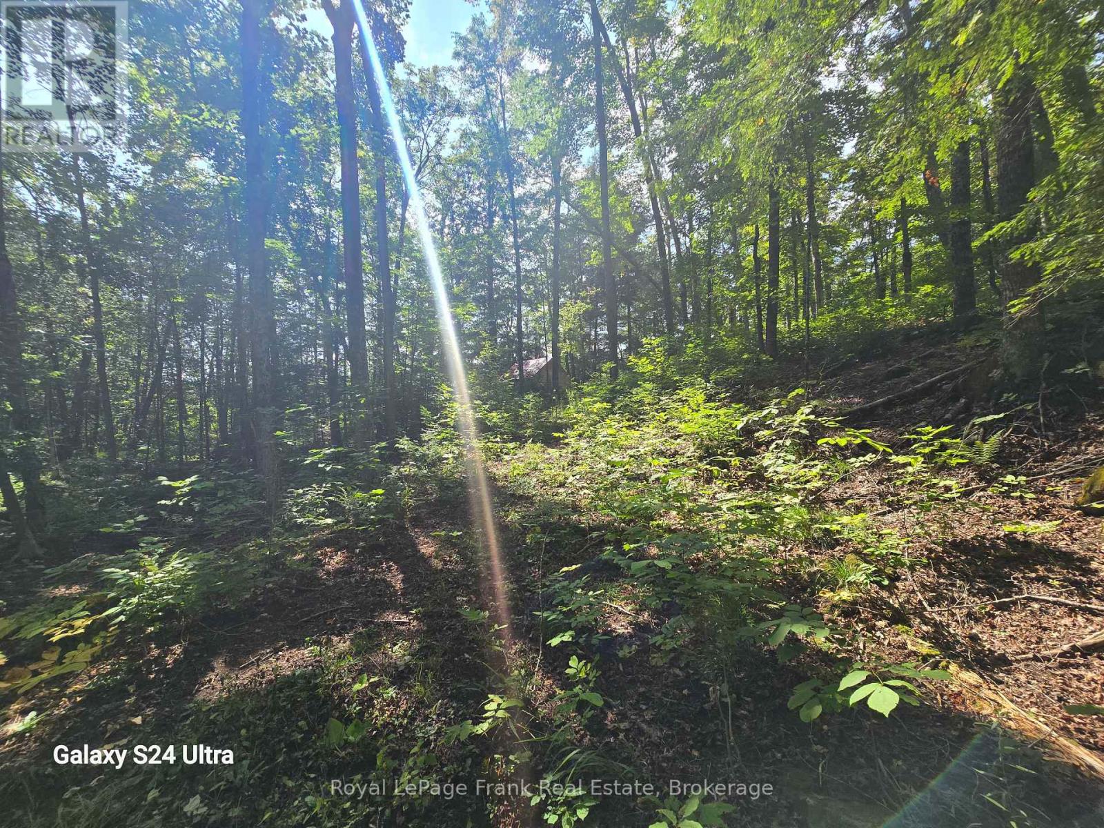 Pt Lt 17-18 County Road 507, Trent Lakes, Ontario  K0L 1J0 - Photo 2 - X13757286
