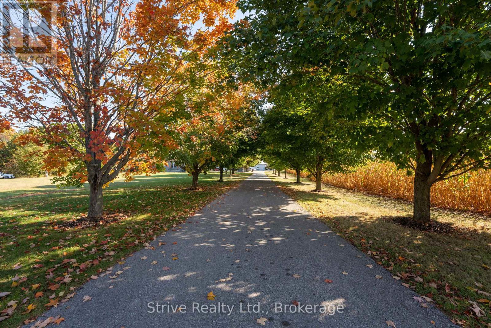 5659 Gilmore Road, Clarington, Ontario  L0A 1J0 - Photo 5 - E13763132