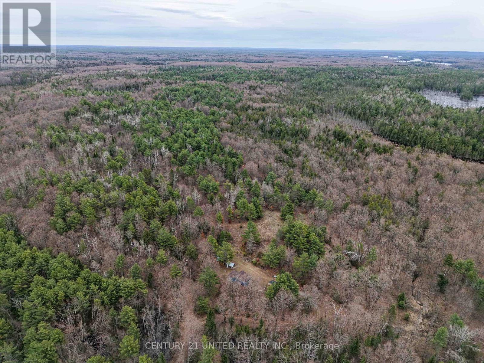 9559 Hwy 28, North Kawartha, Ontario  K0L 1A0 - Photo 17 - X13764860