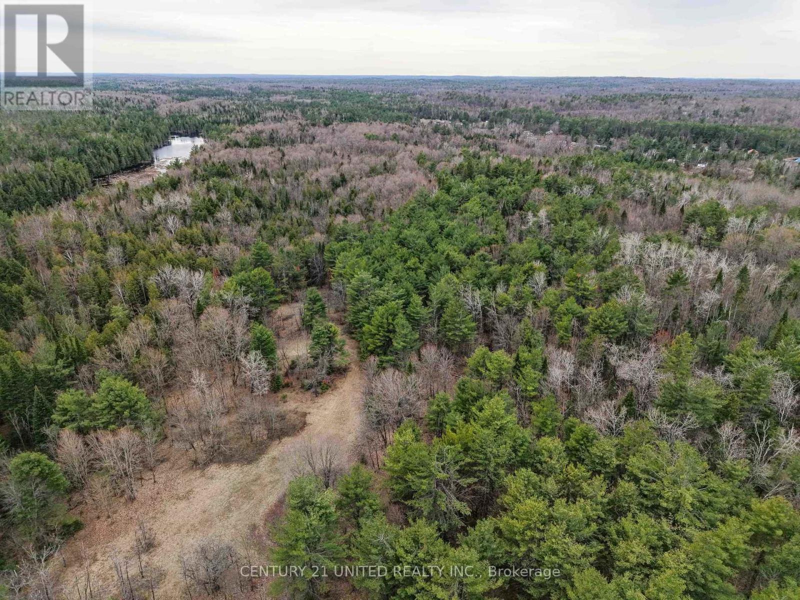 9559 Hwy 28, North Kawartha, Ontario  K0L 1A0 - Photo 7 - X13764860