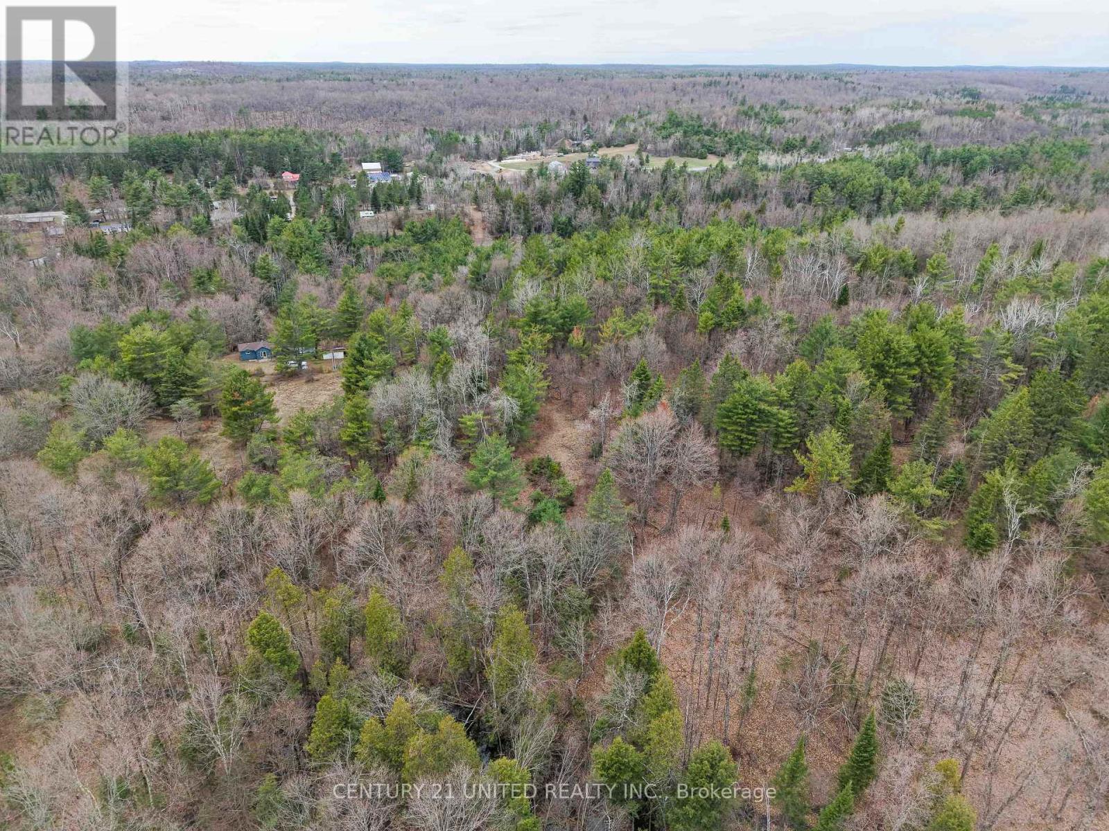 9559 Hwy 28, North Kawartha, Ontario  K0L 1A0 - Photo 9 - X13764860