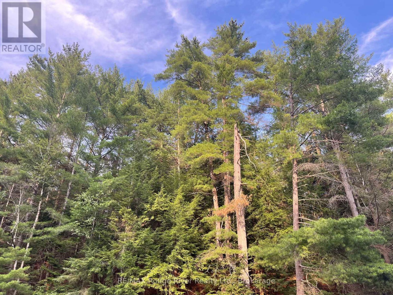39 Hobo Lane, Hastings Highlands (Herschel Ward), Ontario  K0L 1C0 - Photo 30 - X13765600