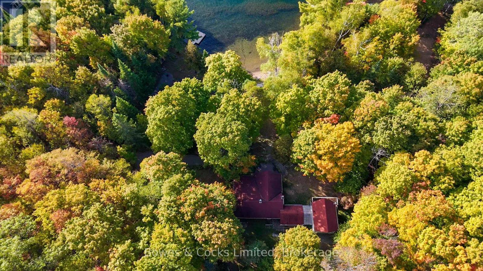 408 Couchs Road, North Kawartha, Ontario  K0L 1A0 - Photo 44 - X13776284