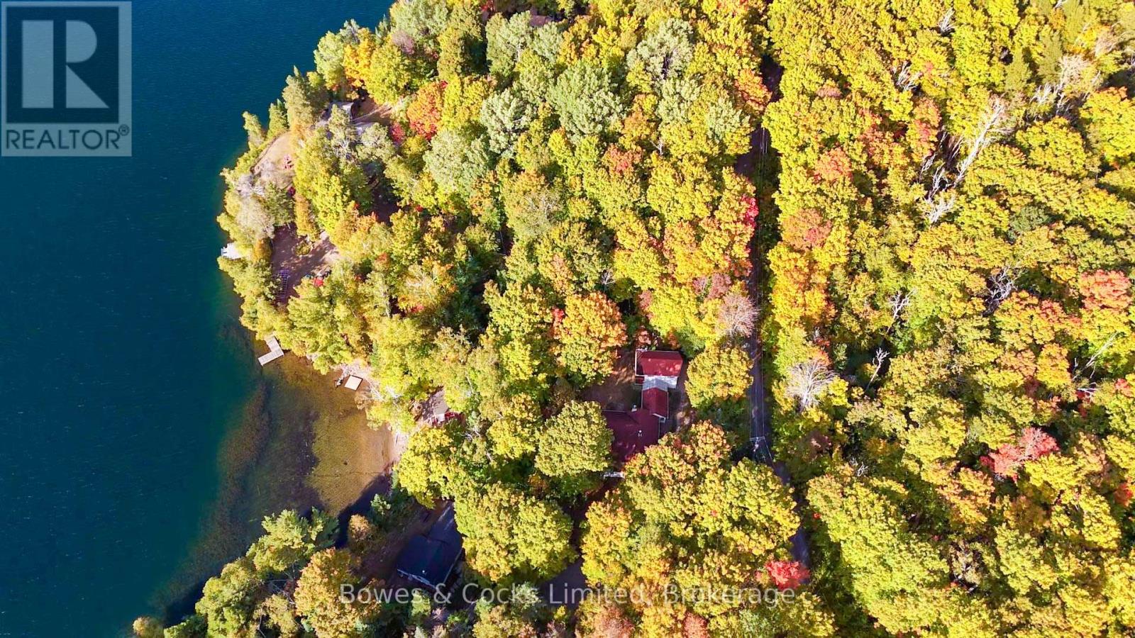 408 Couchs Road, North Kawartha, Ontario  K0L 1A0 - Photo 7 - X13776284