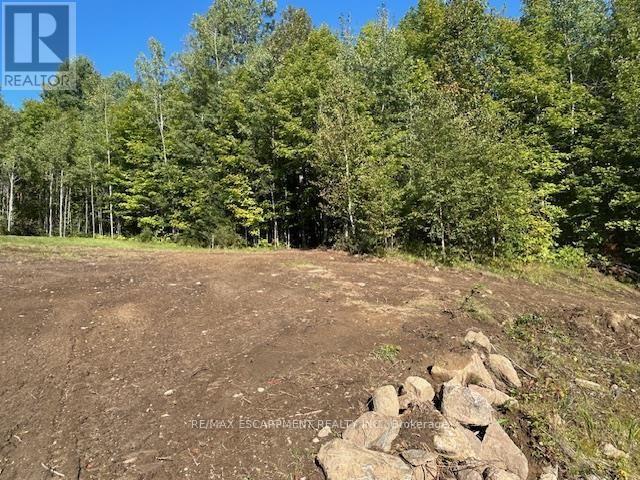 3275 Musclow-Greenview Road, Hastings Highlands (Monteagle Ward), Ontario  K0L 1C0 - Photo 13 - X13777336