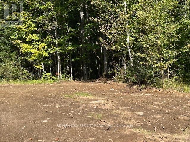 3275 Musclow-Greenview Road, Hastings Highlands (Monteagle Ward), Ontario  K0L 1C0 - Photo 14 - X13777336