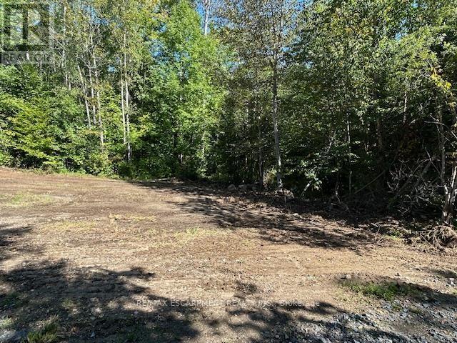 3275 Musclow-Greenview Road, Hastings Highlands (Monteagle Ward), Ontario  K0L 1C0 - Photo 15 - X13777336