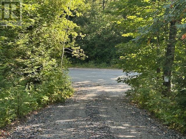3275 Musclow-Greenview Road, Hastings Highlands (Monteagle Ward), Ontario  K0L 1C0 - Photo 16 - X13777336