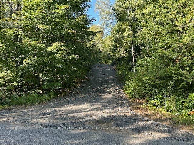 3275 Musclow-Greenview Road, Hastings Highlands (Monteagle Ward), Ontario  K0L 1C0 - Photo 19 - X13777336
