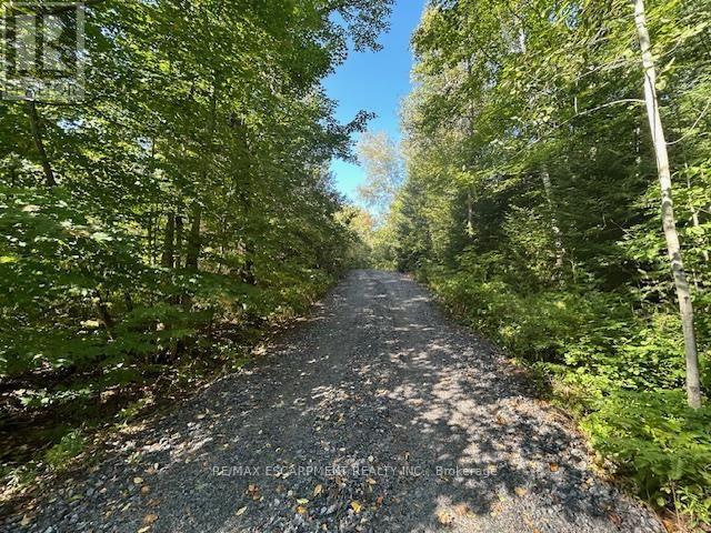 3275 Musclow-Greenview Road, Hastings Highlands (Monteagle Ward), Ontario  K0L 1C0 - Photo 20 - X13777336
