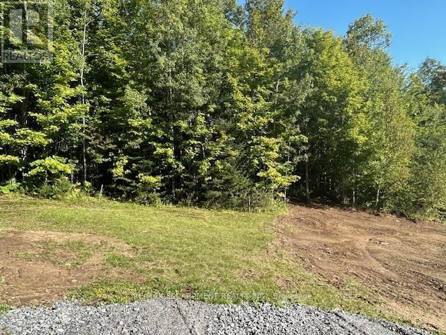 3275 Musclow-Greenview Road, Hastings Highlands (Monteagle Ward), Ontario  K0L 1C0 - Photo 24 - X13777336