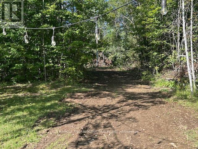 3275 Musclow-Greenview Road, Hastings Highlands (Monteagle Ward), Ontario  K0L 1C0 - Photo 27 - X13777336