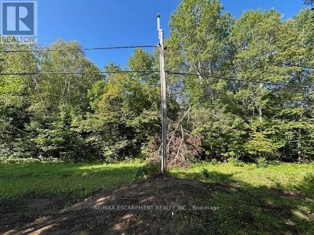 3275 Musclow-Greenview Road, Hastings Highlands (Monteagle Ward), Ontario  K0L 1C0 - Photo 28 - X13777336