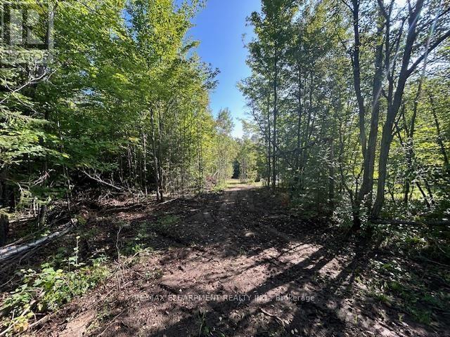 3275 Musclow-Greenview Road, Hastings Highlands (Monteagle Ward), Ontario  K0L 1C0 - Photo 29 - X13777336