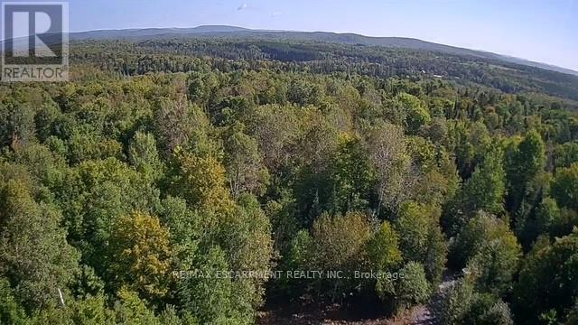 3275 Musclow-Greenview Road, Hastings Highlands (Monteagle Ward), Ontario  K0L 1C0 - Photo 3 - X13777336
