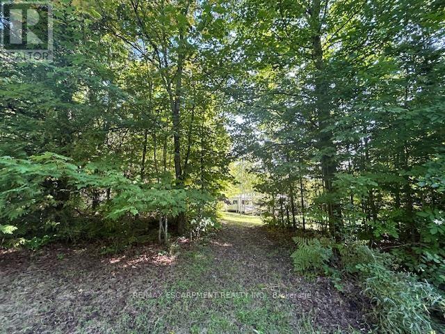 3275 Musclow-Greenview Road, Hastings Highlands (Monteagle Ward), Ontario  K0L 1C0 - Photo 30 - X13777336