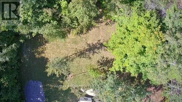 3275 Musclow-Greenview Road, Hastings Highlands (Monteagle Ward), Ontario  K0L 1C0 - Photo 34 - X13777336