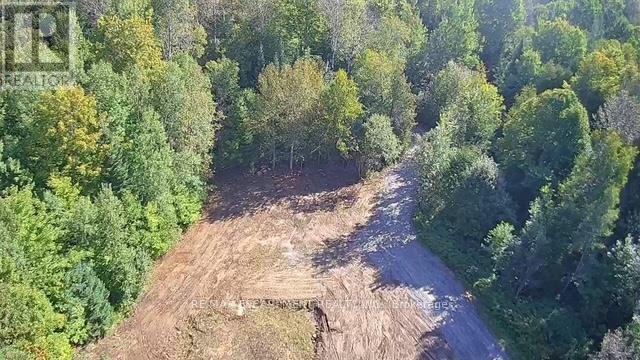 3275 Musclow-Greenview Road, Hastings Highlands (Monteagle Ward), Ontario  K0L 1C0 - Photo 5 - X13777336