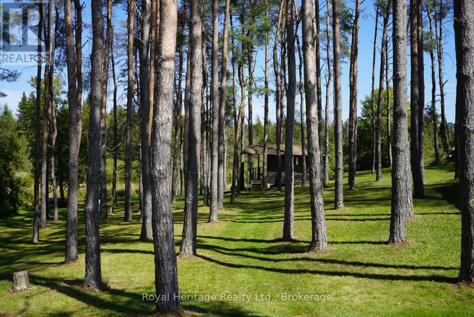 215 Fifth Line Dummer South Road, Douro-Dummer, Ontario  K0L 3A0 - Photo 39 - X13778676