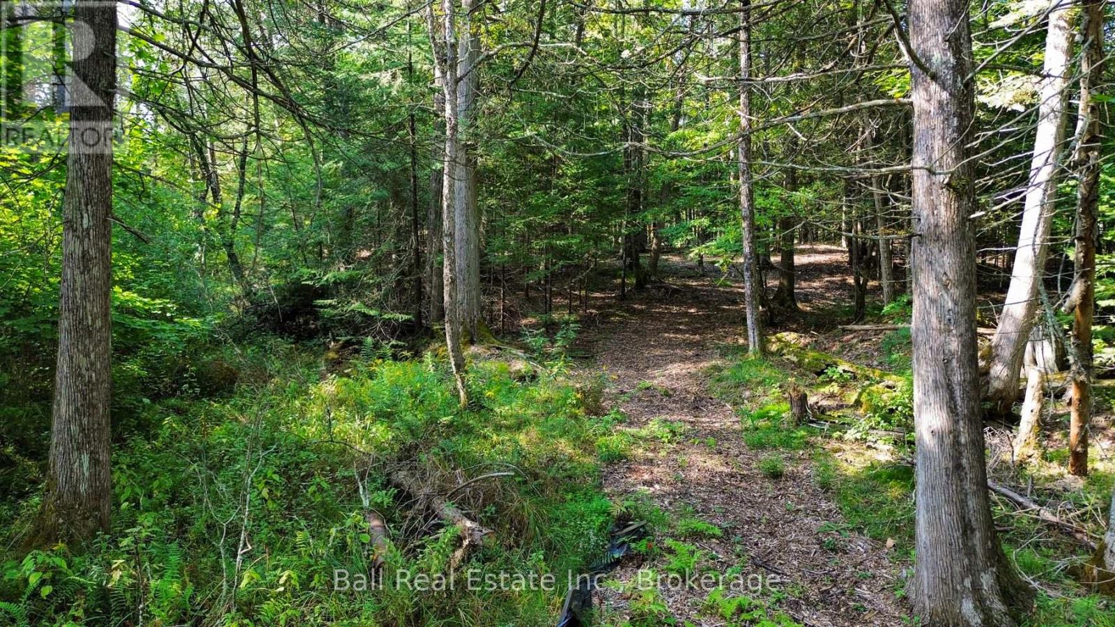 85 Fr 19 Route, Havelock-Belmont-Methuen (Belmont-Methuen), Ontario  K0L 1Z0 - Photo 10 - X13780460