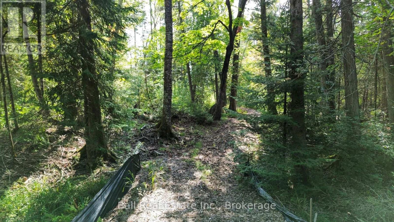 85 Fr 19 Route, Havelock-Belmont-Methuen (Belmont-Methuen), Ontario  K0L 1Z0 - Photo 11 - X13780460