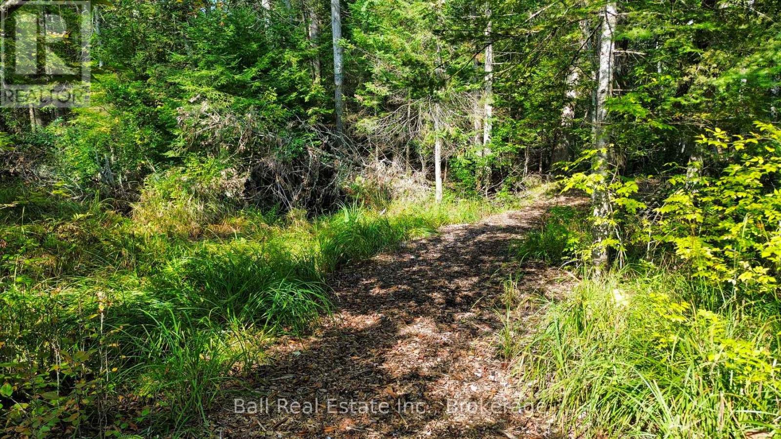 85 Fr 19 Route, Havelock-Belmont-Methuen (Belmont-Methuen), Ontario  K0L 1Z0 - Photo 12 - X13780460
