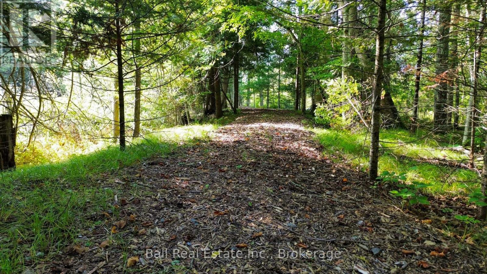 85 Fr 19 Route, Havelock-Belmont-Methuen (Belmont-Methuen), Ontario  K0L 1Z0 - Photo 13 - X13780460