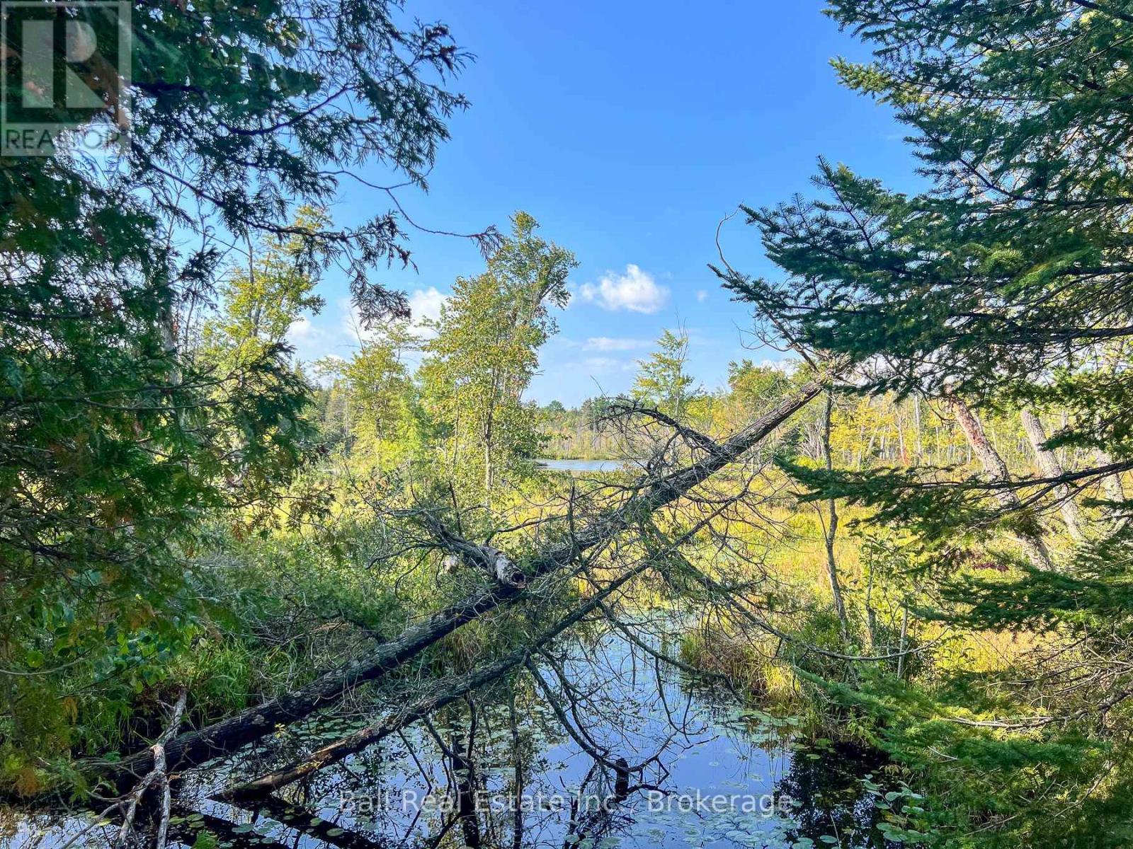 85 Fr 19 Route, Havelock-Belmont-Methuen (Belmont-Methuen), Ontario  K0L 1Z0 - Photo 17 - X13780460