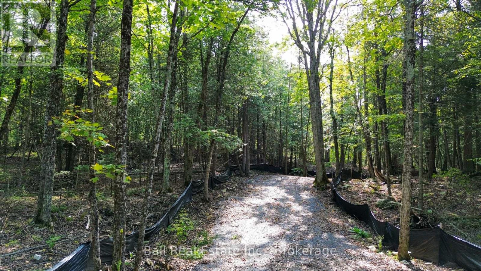 85 Fr 19 Route, Havelock-Belmont-Methuen (Belmont-Methuen), Ontario  K0L 1Z0 - Photo 6 - X13780460