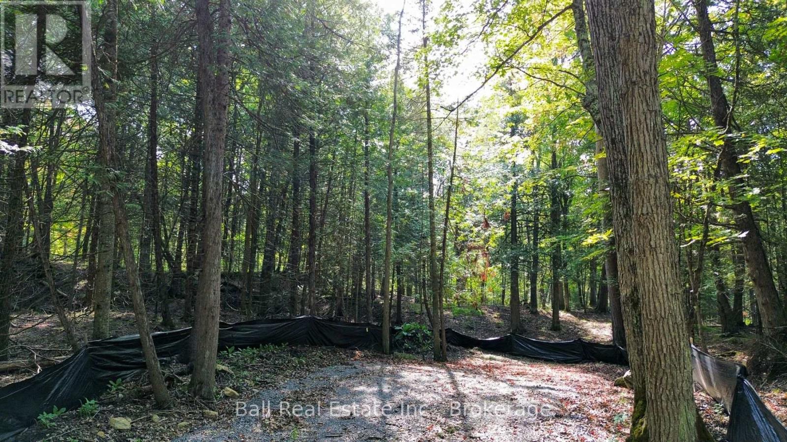 85 Fr 19 Route, Havelock-Belmont-Methuen (Belmont-Methuen), Ontario  K0L 1Z0 - Photo 7 - X13780460