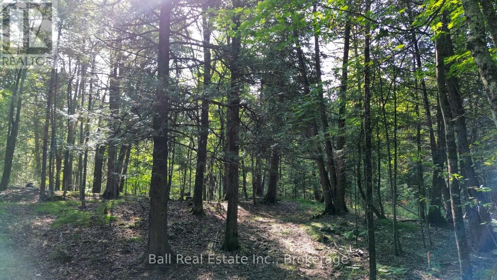 85 Fr 19 Route, Havelock-Belmont-Methuen (Belmont-Methuen), Ontario  K0L 1Z0 - Photo 8 - X13780460