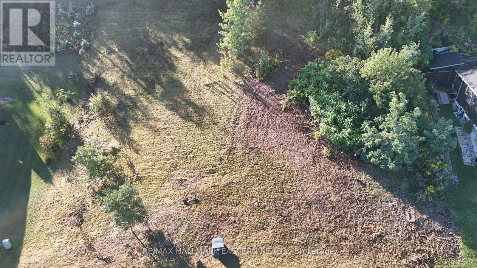 406 Country Lane, Selwyn, Ontario  K9L 2A8 - Photo 14 - X13781480