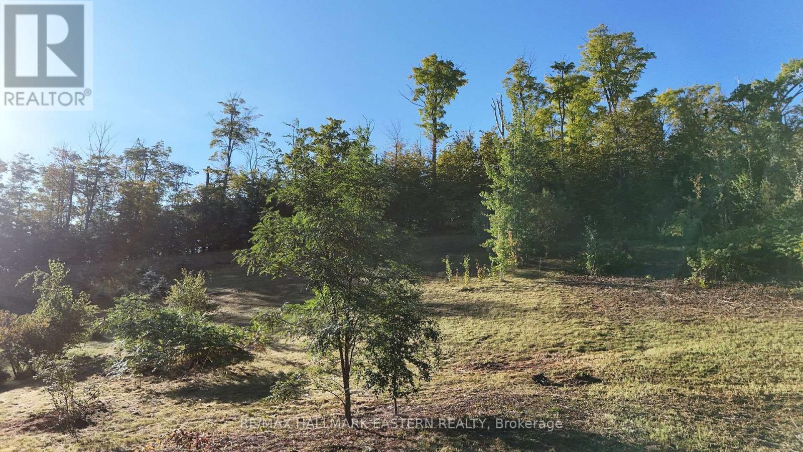 406 Country Lane, Selwyn, Ontario  K9L 2A8 - Photo 15 - X13781480