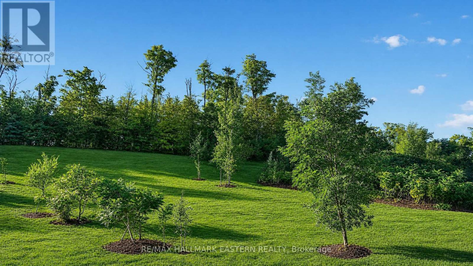 406 Country Lane, Selwyn, Ontario  K9L 2A8 - Photo 17 - X13781480