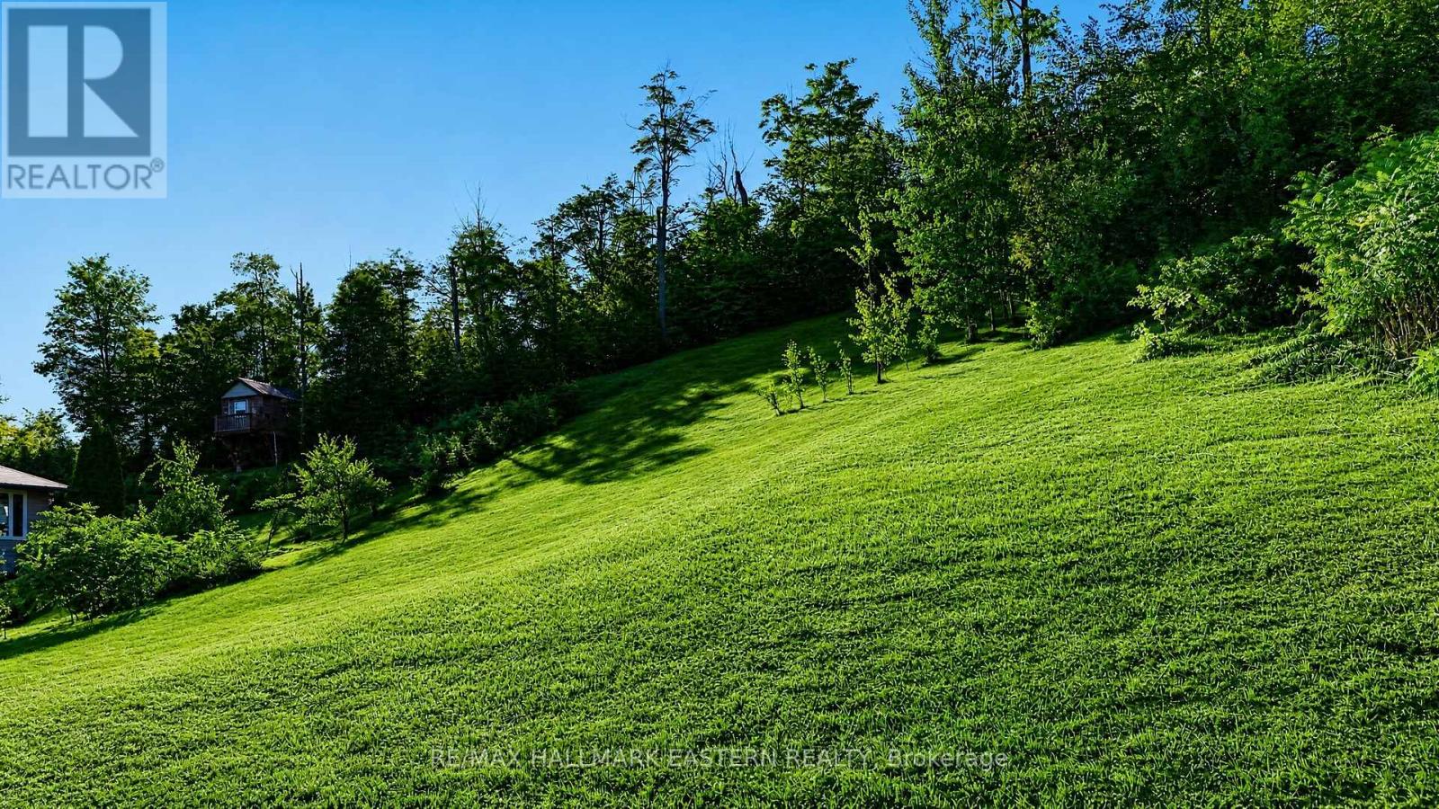 406 Country Lane, Selwyn, Ontario  K9L 2A8 - Photo 18 - X13781480