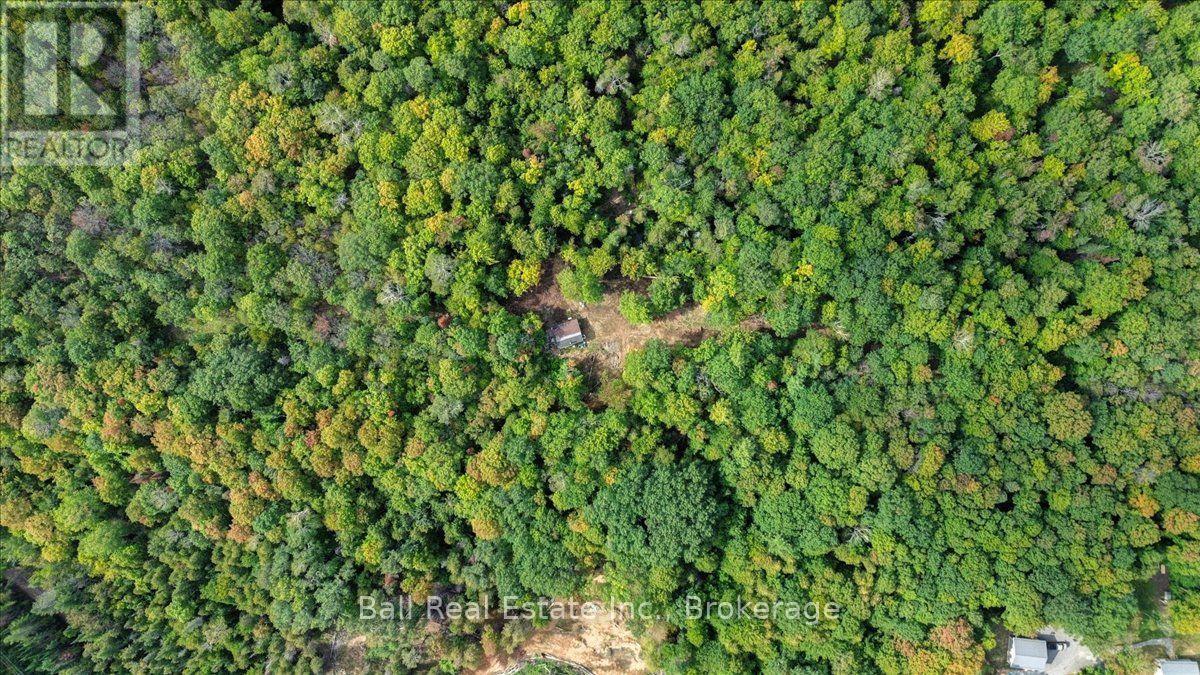 0 Old Hastings Road, Wollaston, Ontario  K0L 1P0 - Photo 4 - X13781864