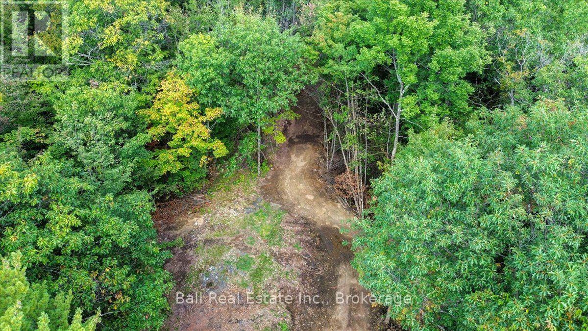 0 Old Hastings Road, Wollaston, Ontario  K0L 1P0 - Photo 7 - X13781864