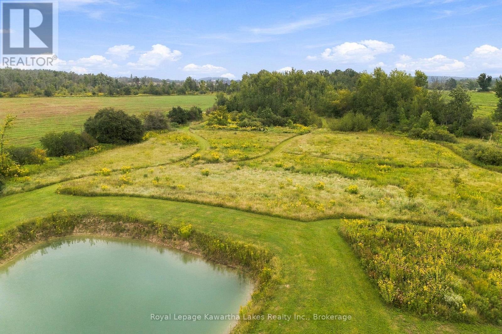 3313 Hwy 7 Highway, Kawartha Lakes (Ops), Ontario  K0L 2W0 - Photo 10 - X13787262