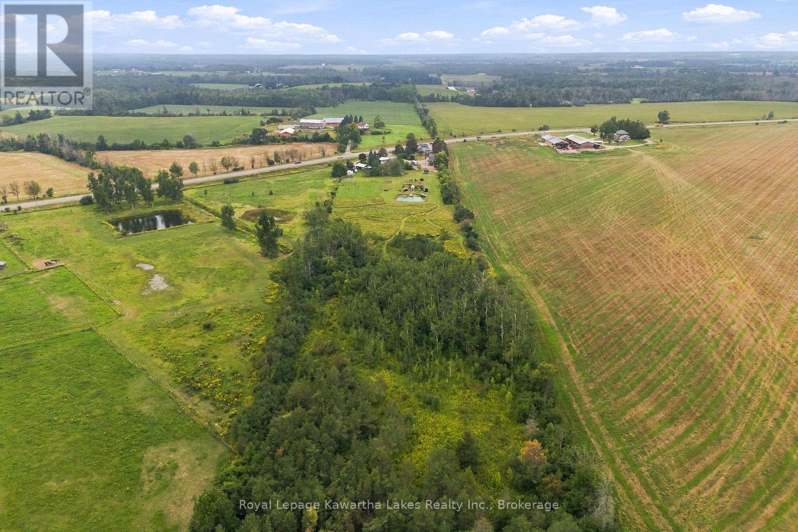 3313 Hwy 7 Highway, Kawartha Lakes (Ops), Ontario  K0L 2W0 - Photo 11 - X13787262