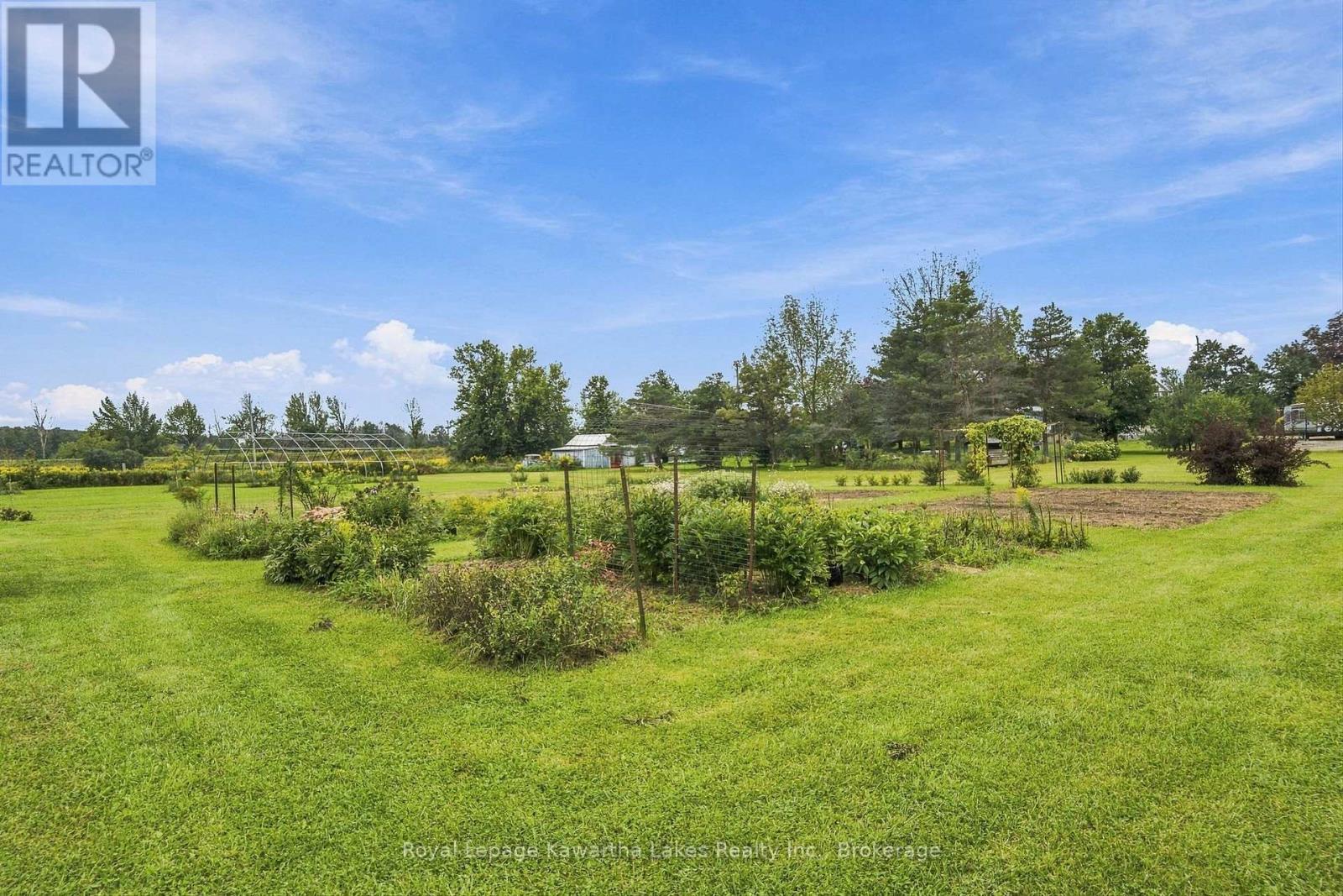 3313 Hwy 7 Highway, Kawartha Lakes (Ops), Ontario  K0L 2W0 - Photo 43 - X13787262